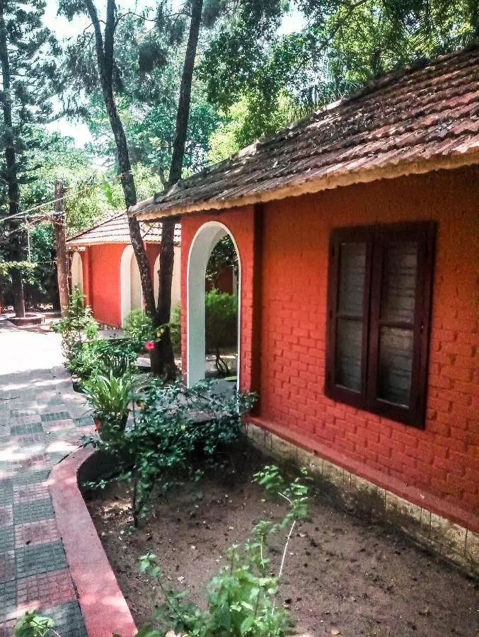 Thiruvonam Bed & Breakfast Thiruvananthapuram