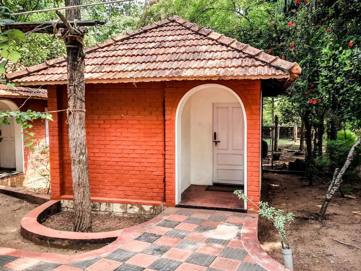 Thiruvonam Bed & Breakfast Thiruvananthapuram India