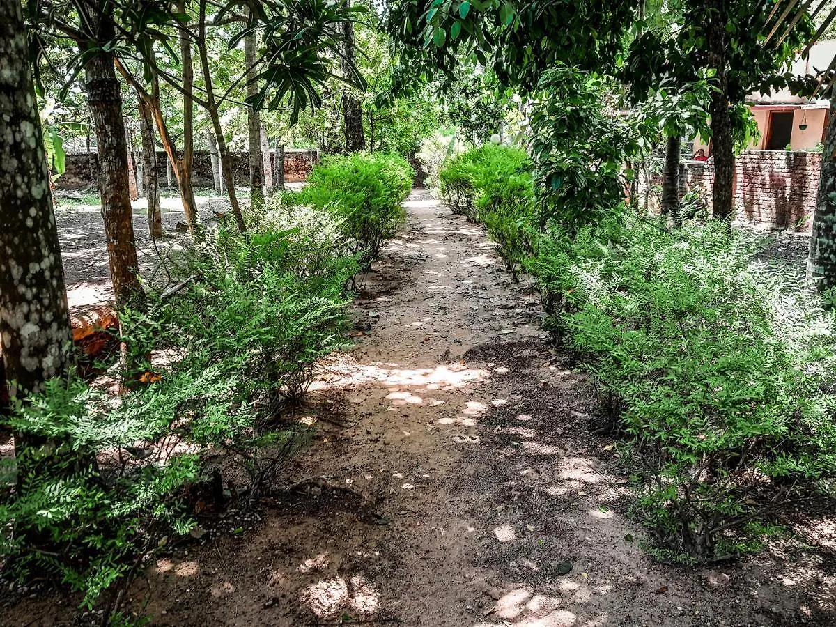 Thiruvonam Bed & Breakfast Thiruvananthapuram 0*,  India