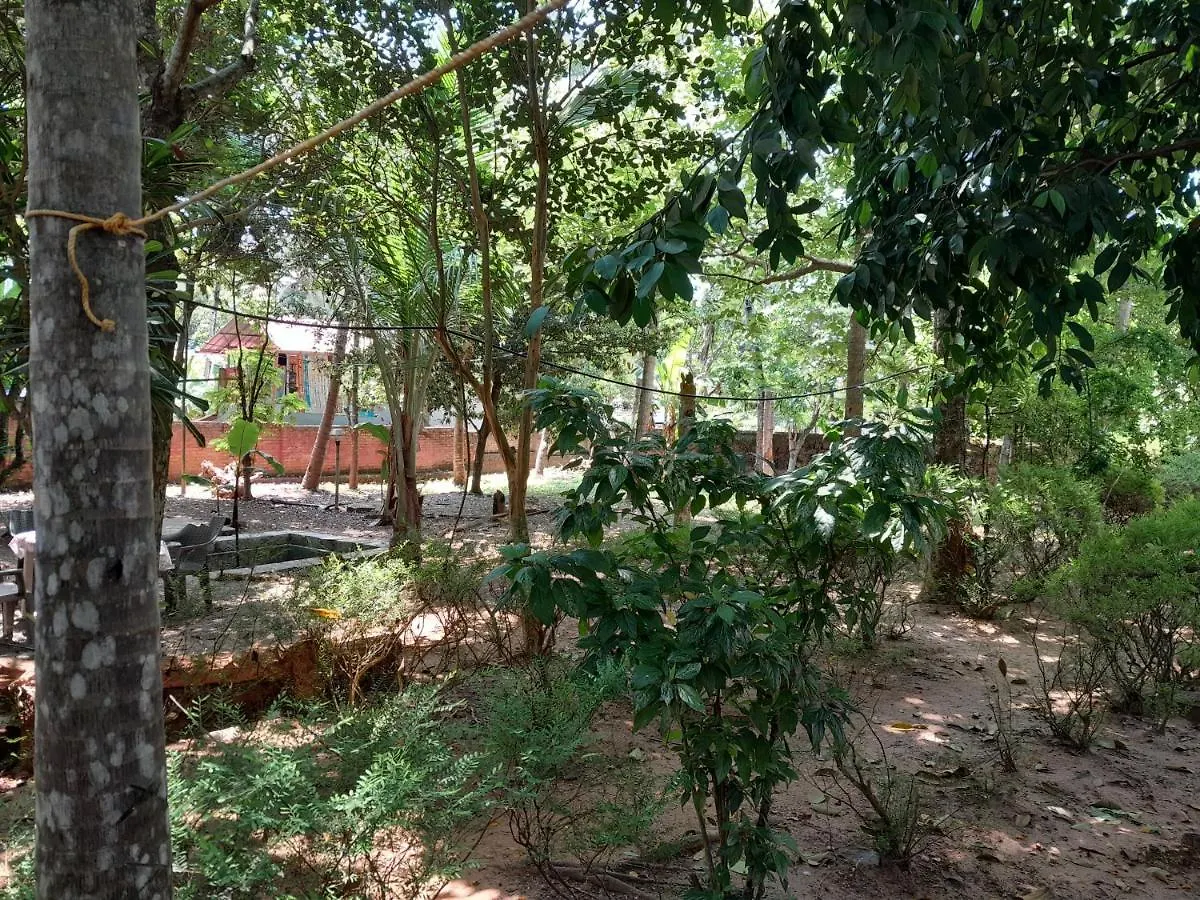 Bed & Breakfast Bed and Breakfast Thiruvonam Thiruvananthapuram Indie